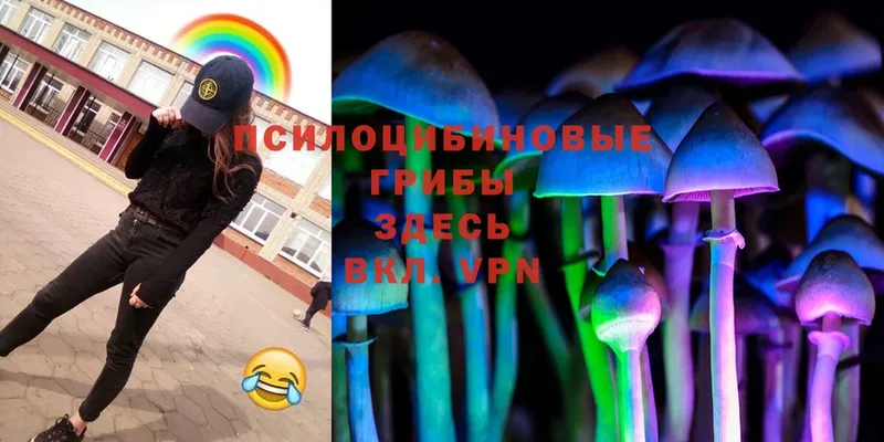 Псилоцибиновые грибы Magic Shrooms  Александровск 